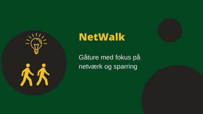 NetWalk